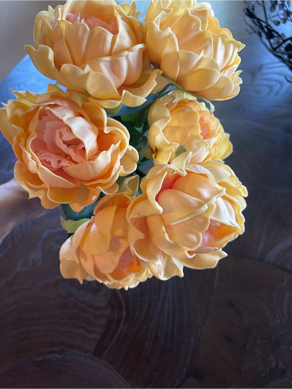 Magnolia Home Peach and Cream Peony Stems (6)